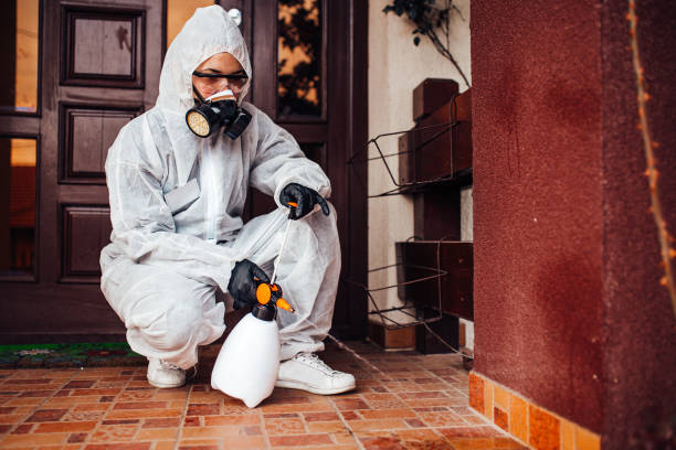 Reliable Mosquito Control contractor in Guilford Center, CT by Show Me Pest Control